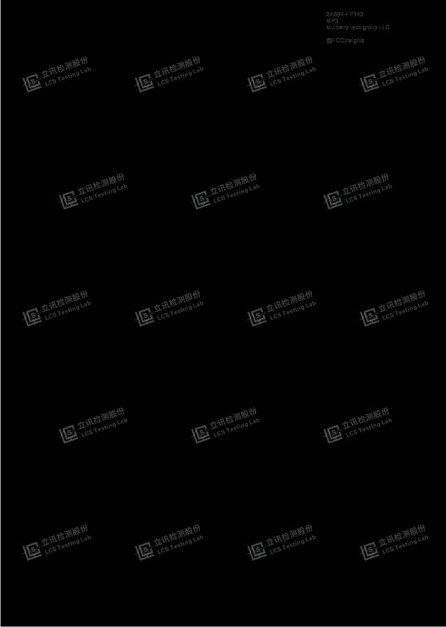 MP3 by Mulberry tech group LLC External Photos 1