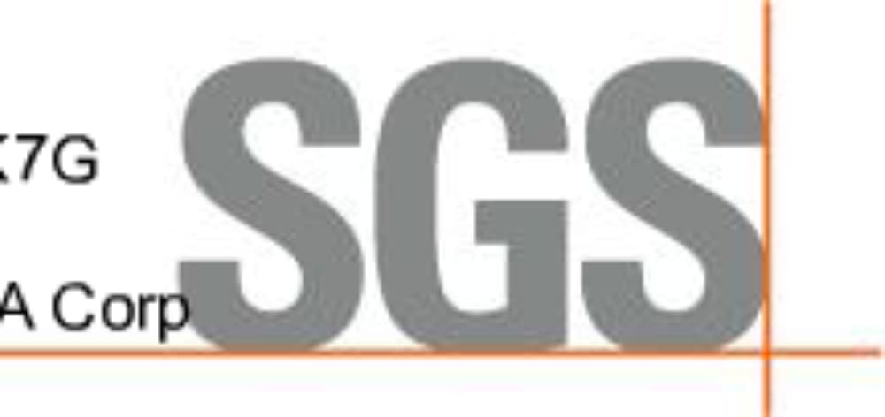 IP Camera by REVO AMERICA Corp External Photos 1